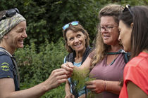 découverte des vertus culinaires des plantes de montagnes
