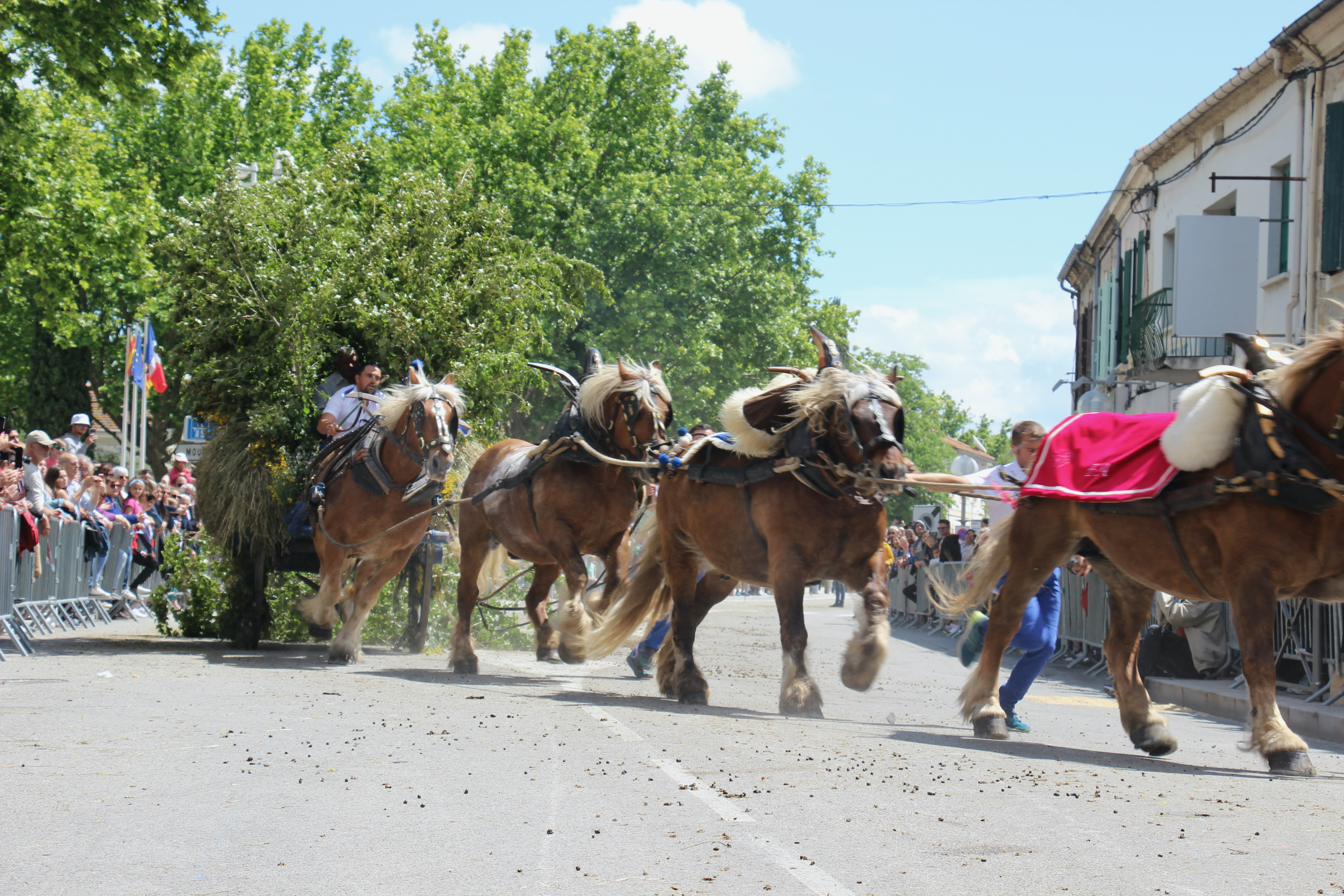 Fête du Printemps, Saint-Martin-de-Crau - photo 3