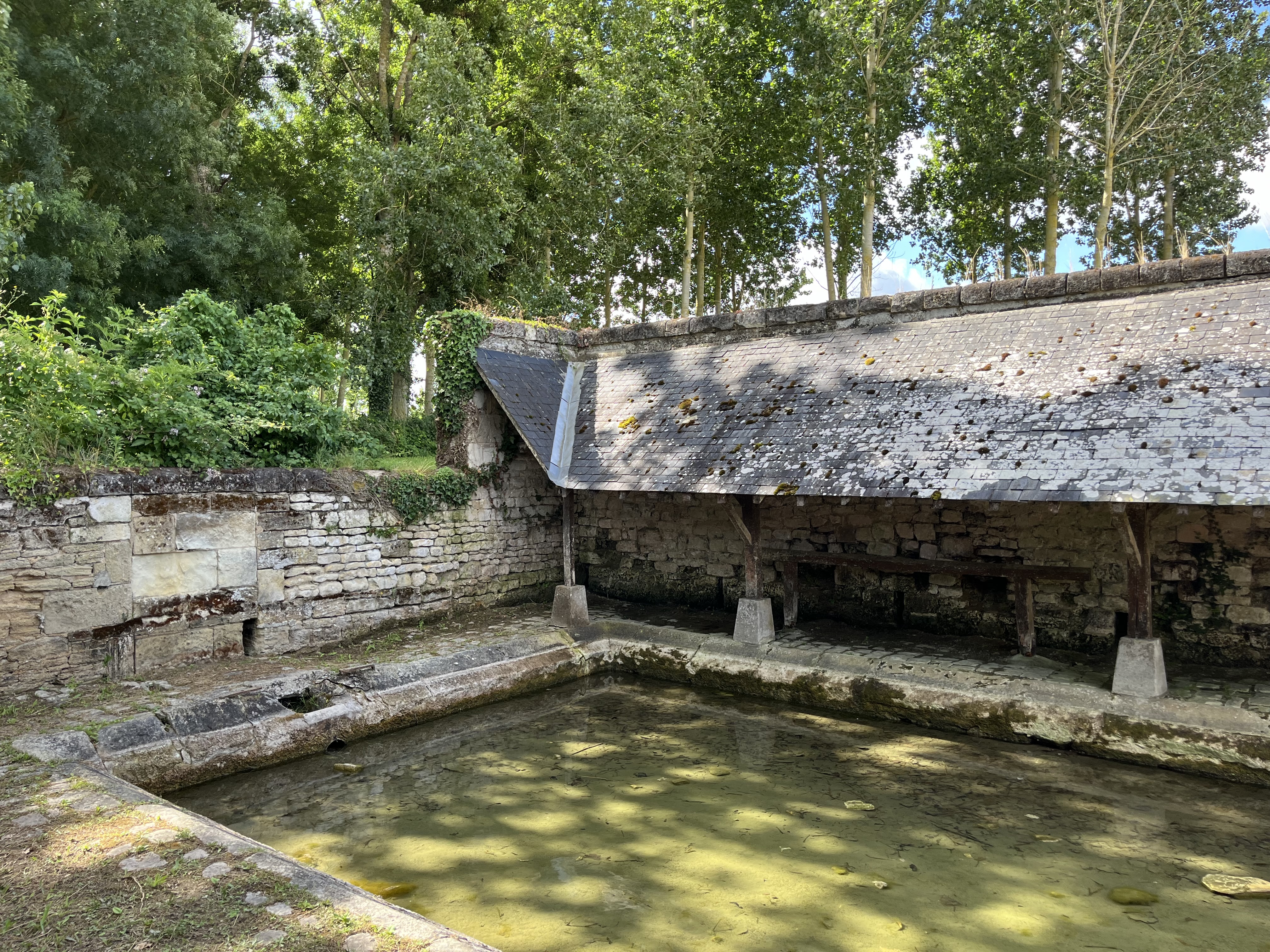 Circuit Gravel N°18 - Les Ulmes