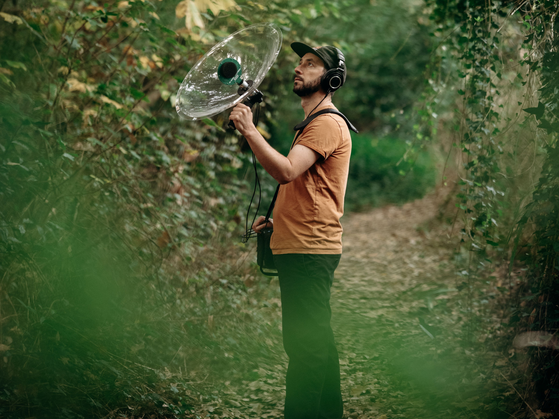 Balade immersive - Nature sonore