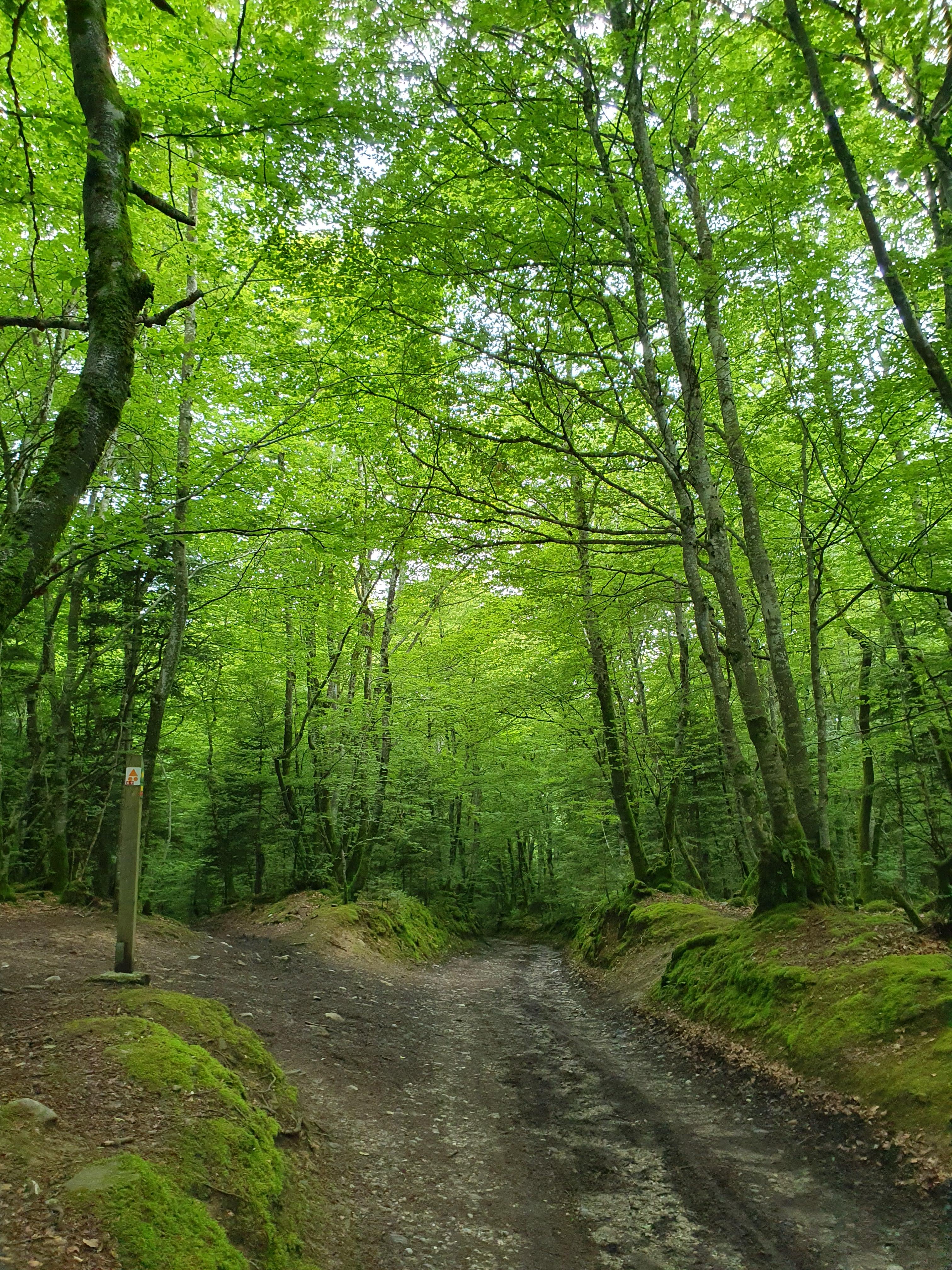 photosFeed-https://static.apidae-tourisme.com/filestore/objets-touristiques/images/106/12/24054890.jpg