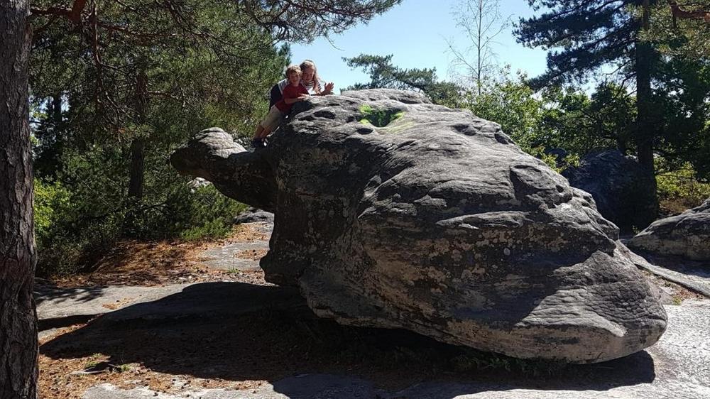 Petite visite à la tortue