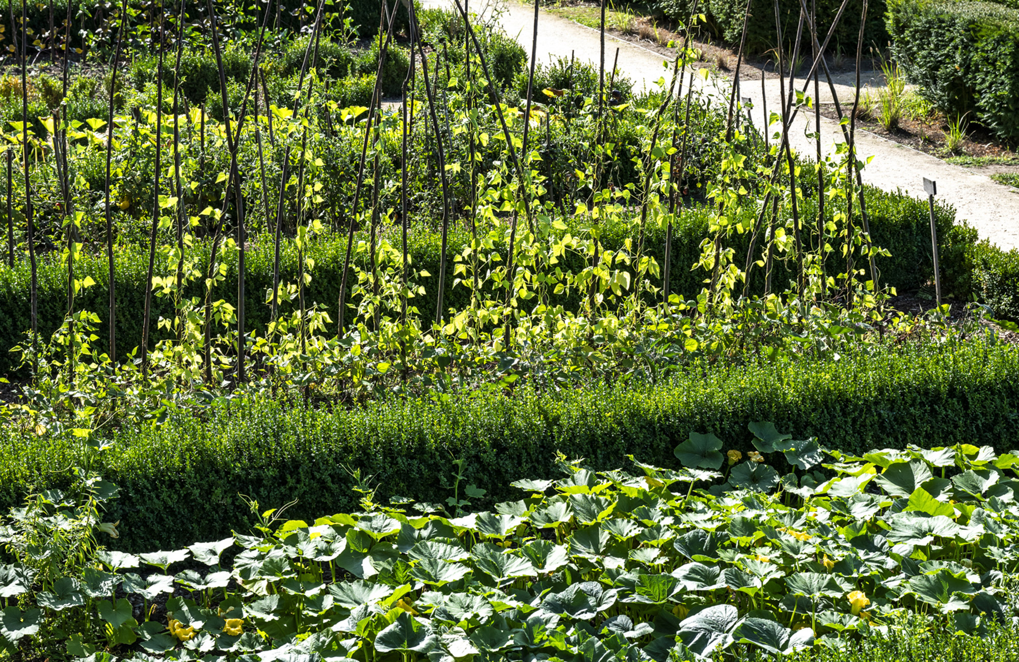 Secrets de jardins : perspectives inédites