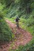 Circuit VTT n°35 à Lavoine Ⓒ  Vichy Destinations