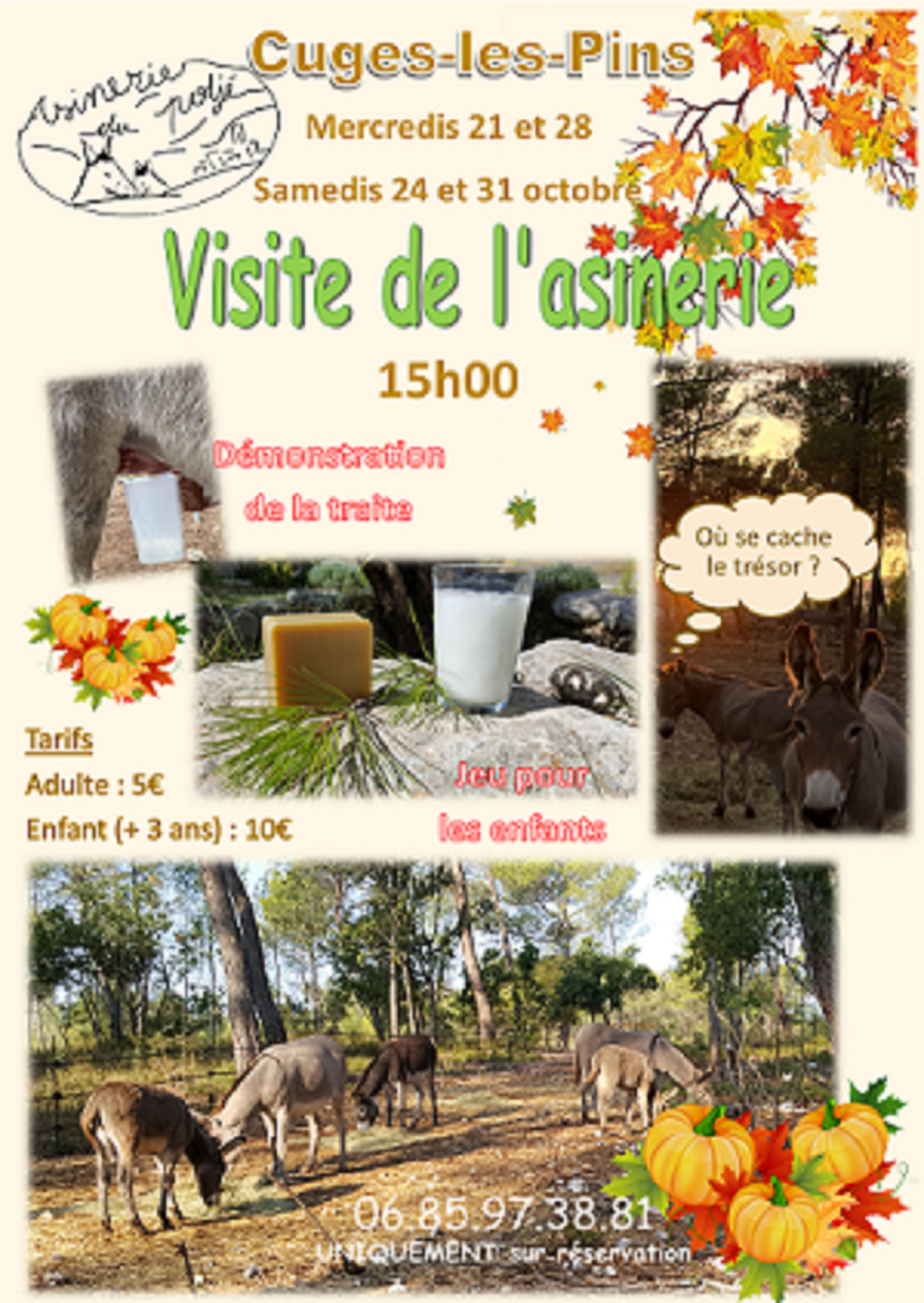 Visite de l'Asinerie du Poljé