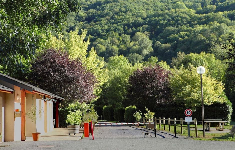 Camping Le Jardin allée arborée