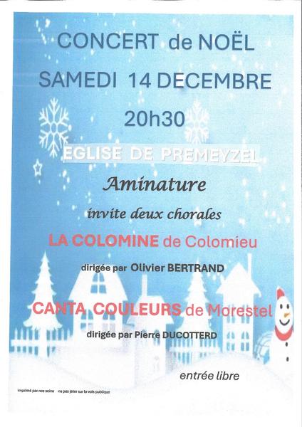 http://Concert%20de%20Noël