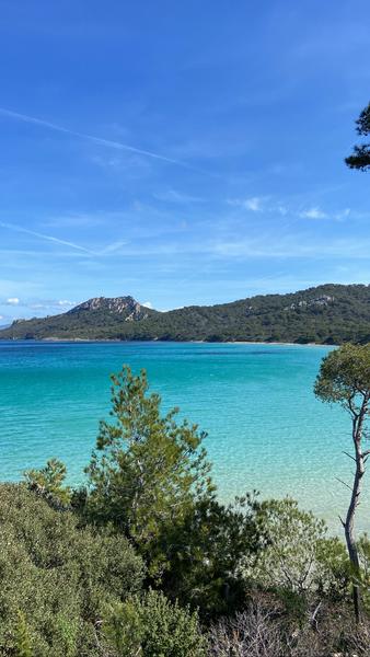 Location de vélos Porquerolles Le Cycle Porquerollais