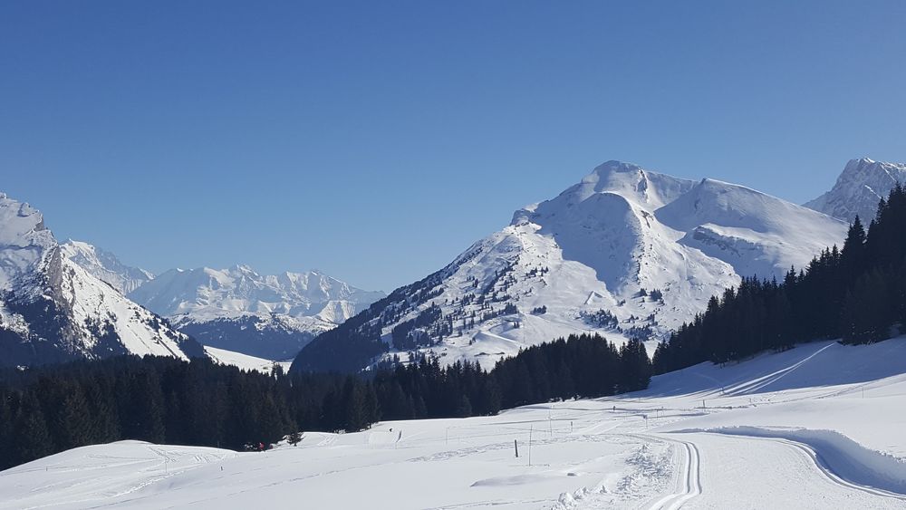 Plateau de Beauregard