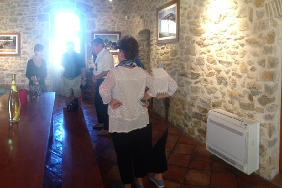 Vignobles de Bandol, Cassis, le Castellet