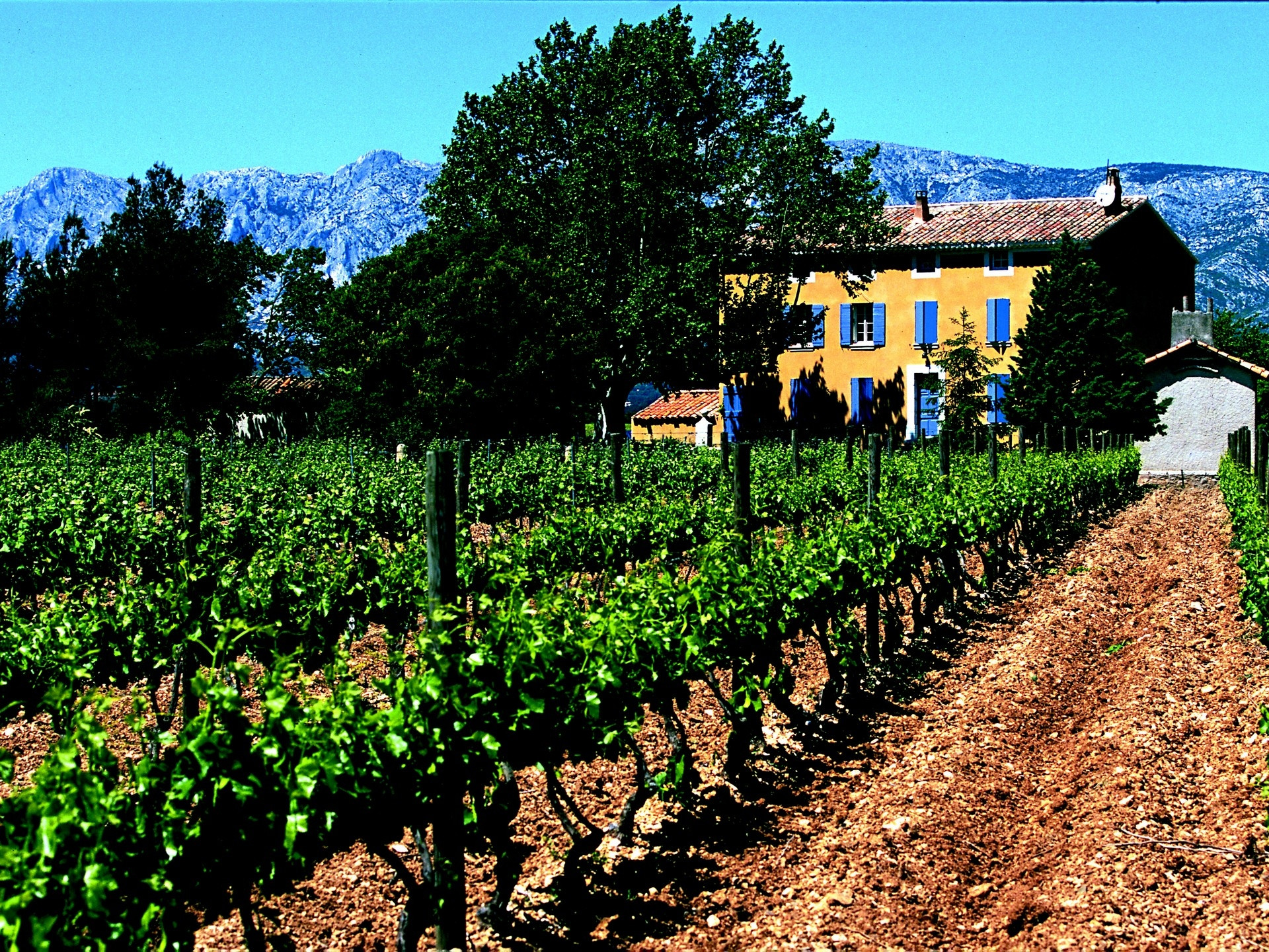 Domaine Houchart - Famille Quiot