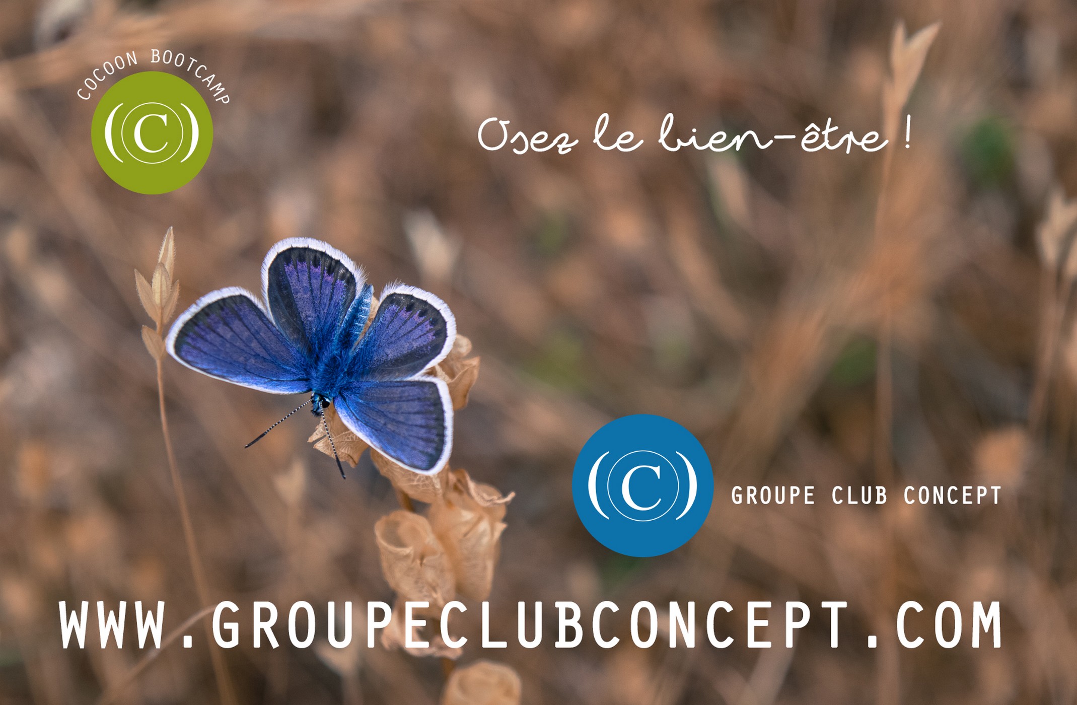 Coaching Bien-être - Alpilles Luberon — photo 2