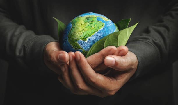 Journée internationale de l'environnement