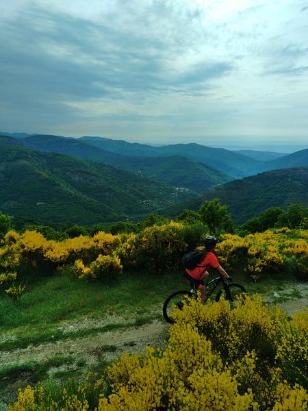 Descente VTT
