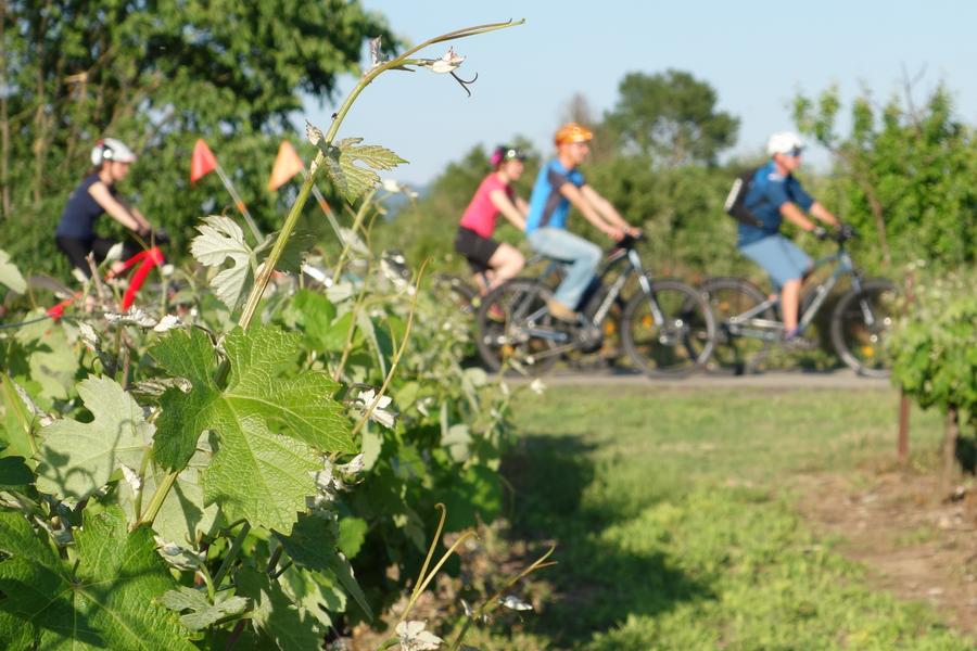 Heritage & Terroir" electric bike tour - Ardèche vélo