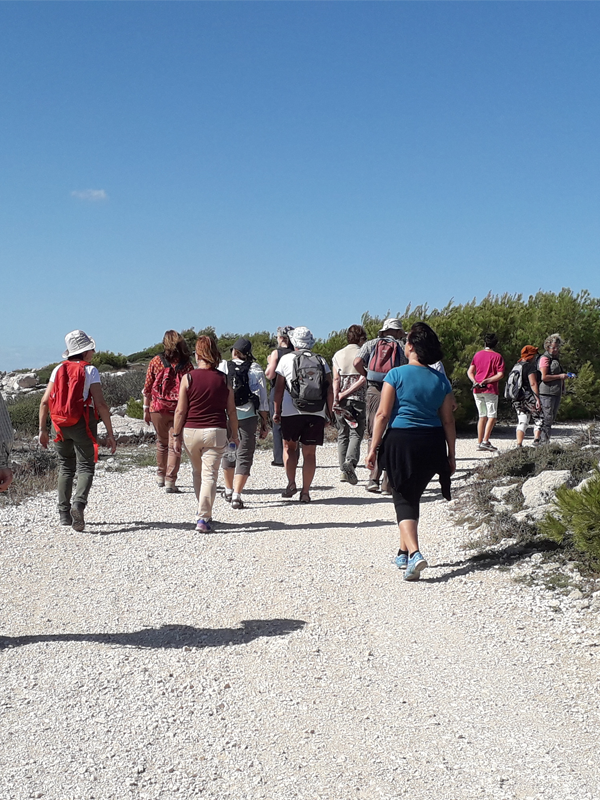 Sortie nature du Muséum - Côte bleue, les rivages du Miocène (Martigues – Carro)