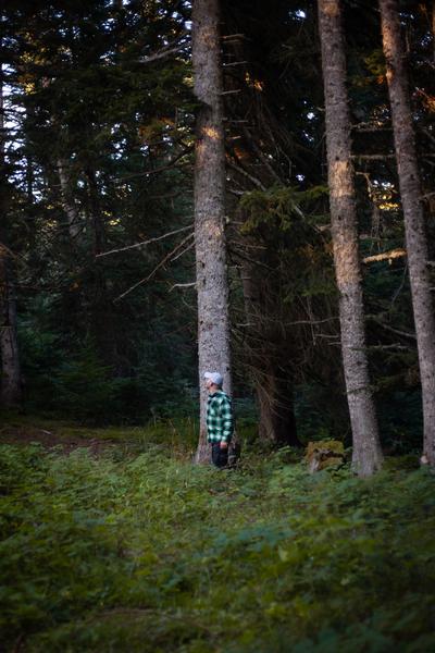 Monsieur seul dans la foret Monsieur seul dans la foret