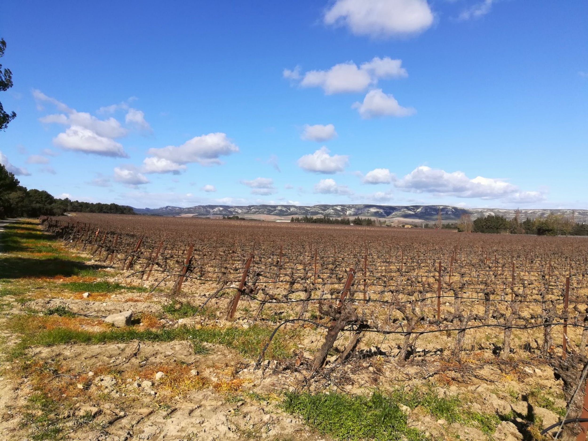 LAMANON - Autour de Calès, Lamanon - photo 2