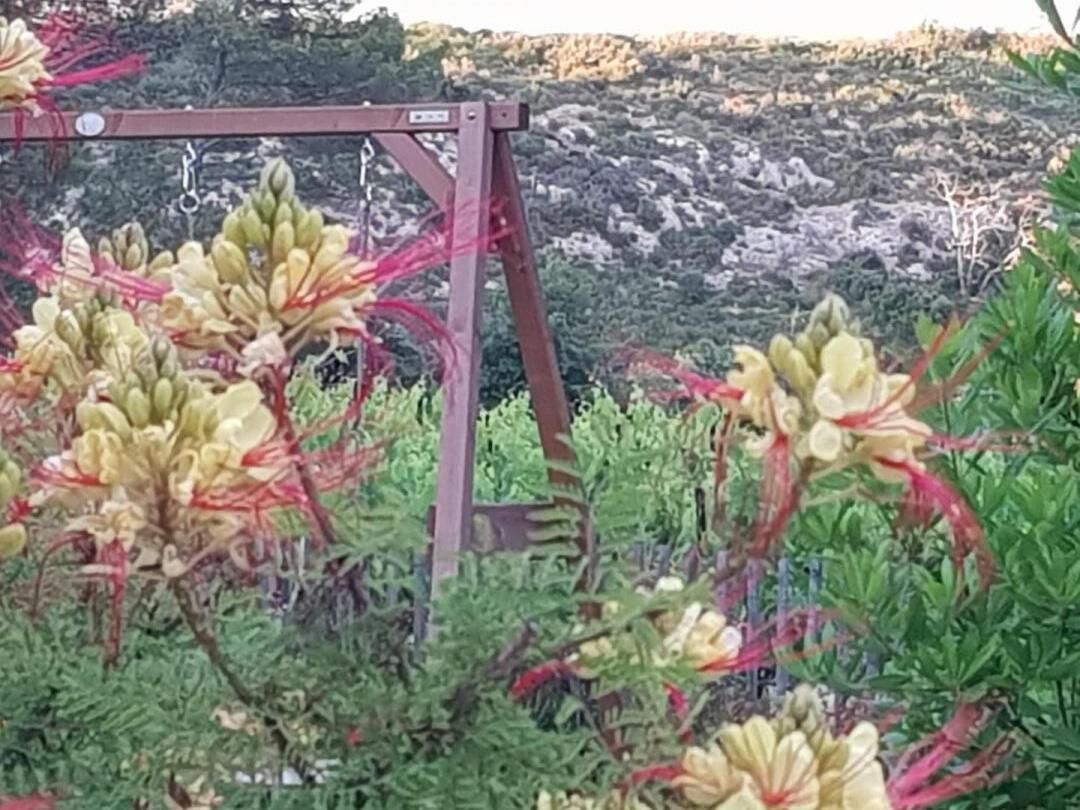 La Villa, Saint-Cannat - photo 45