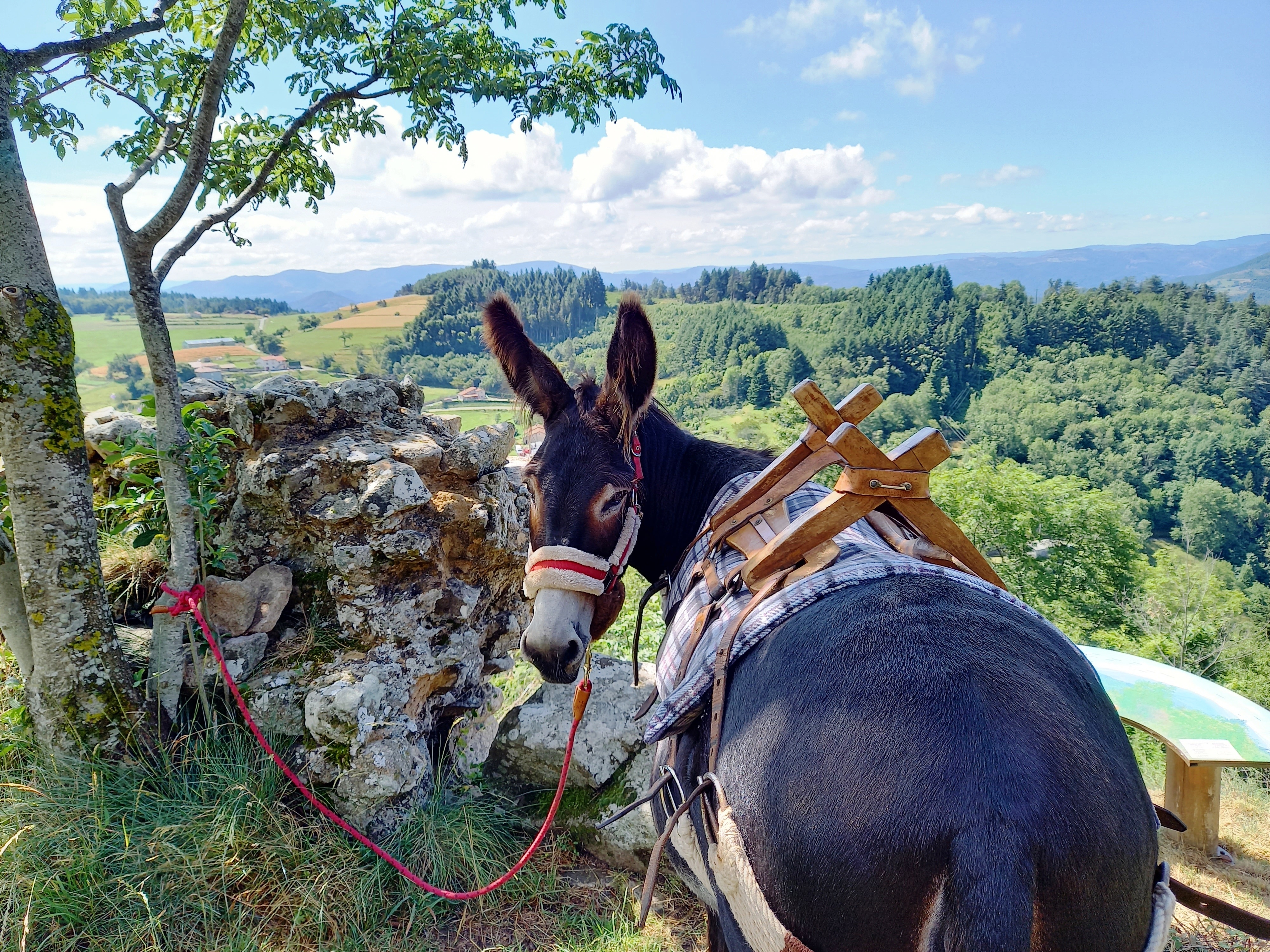 Estelle Brodeur (Ânes sans frontières) - Randonnées avec des ânes bâtés