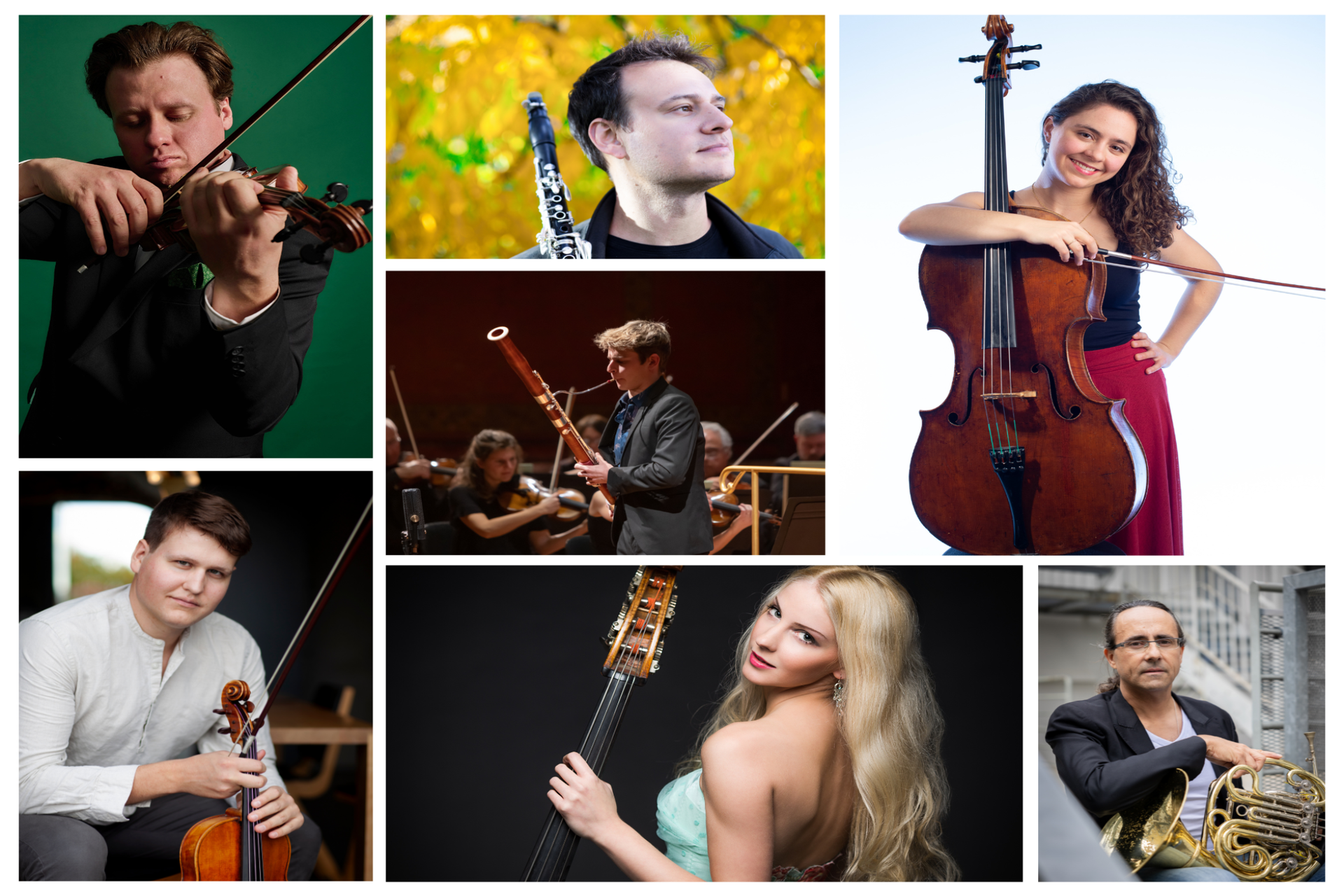 Rencontres Musicales Champ�ry | Ludwig!