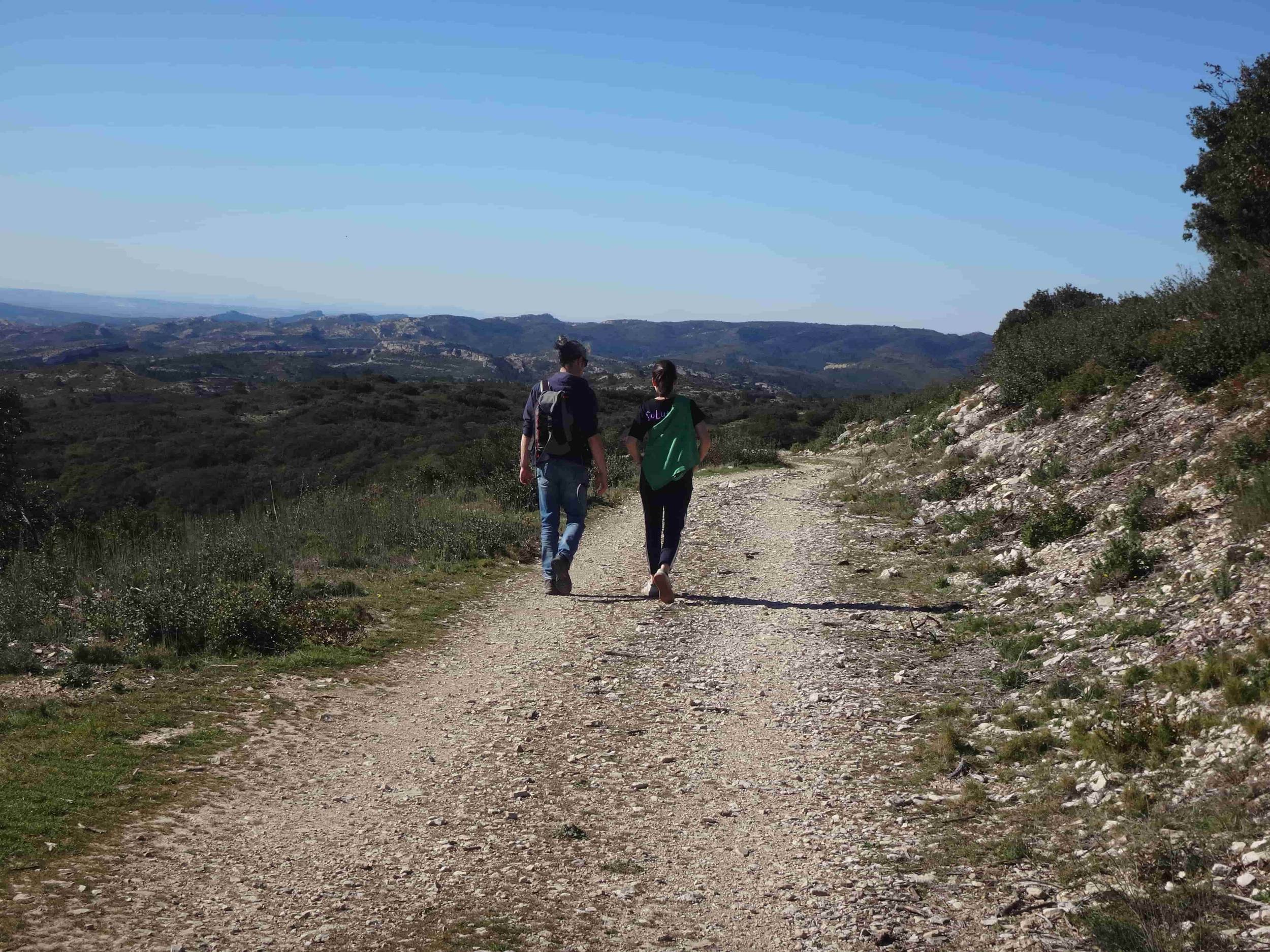 AUREILLE - La Vallongue, Aureille - photo 8