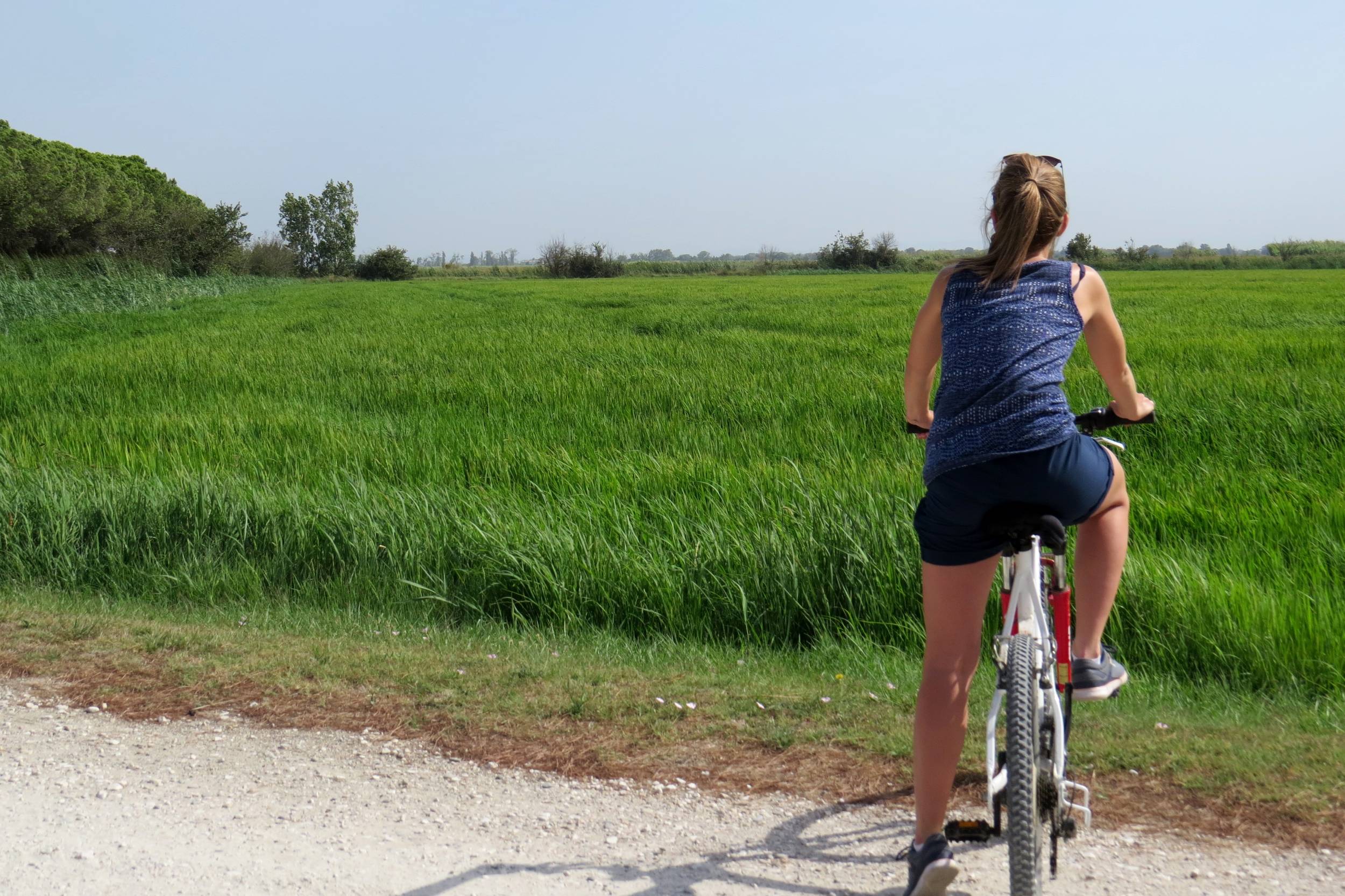 ARLES - Autour du riz et des chevaux de Camargue à vélo — photo 2