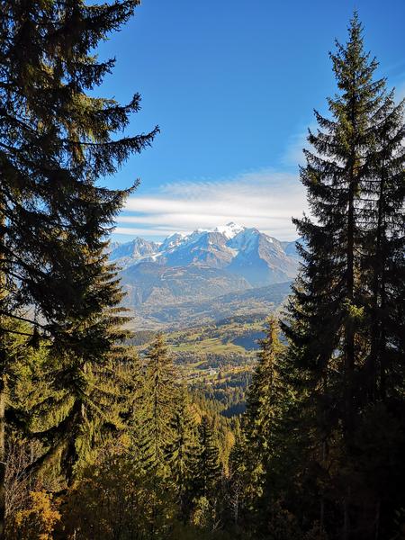 Le plateau des Bénés – sentier pédestre_Cordon