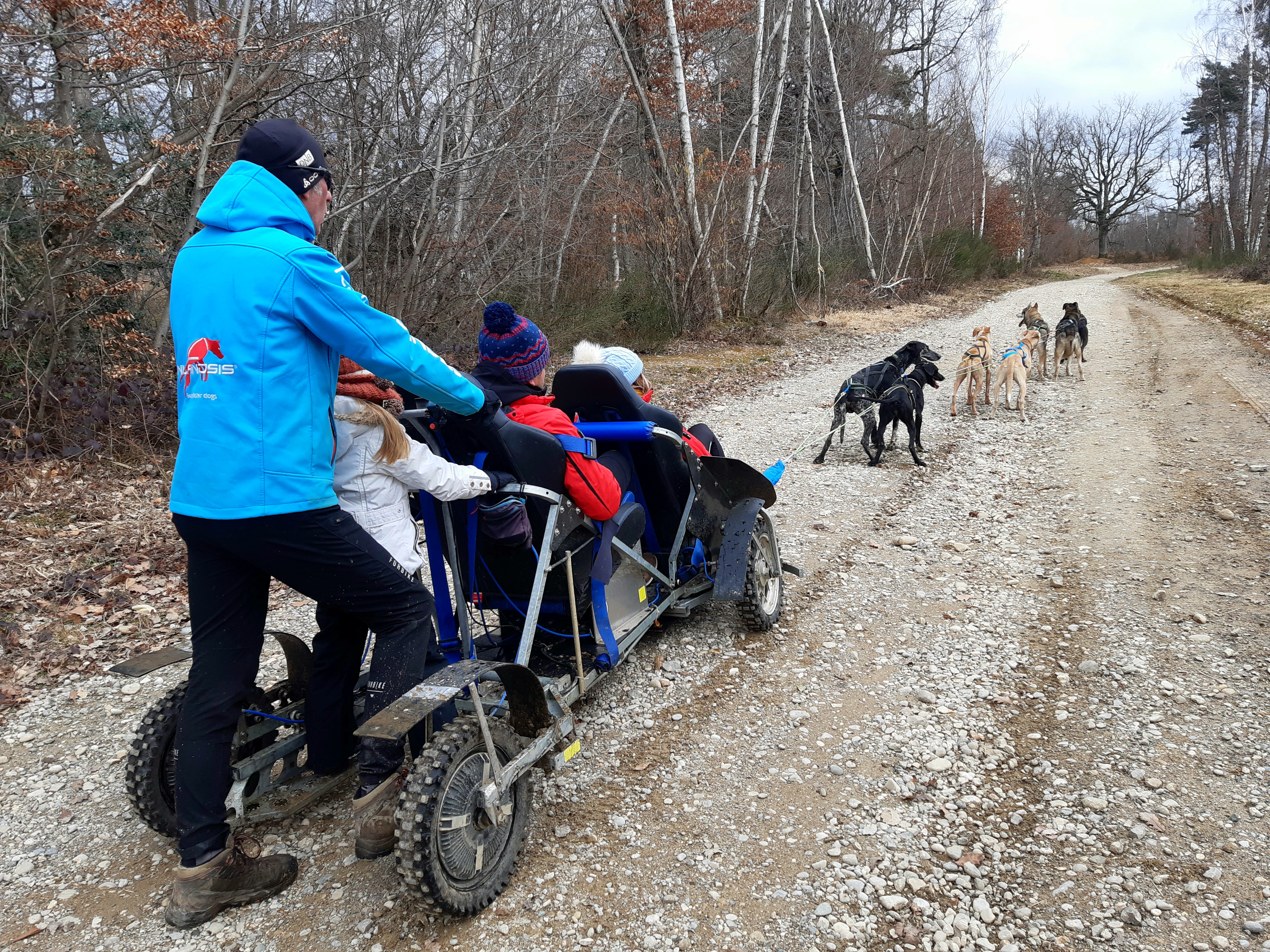 Baptême en kart avec chiens de traîneau