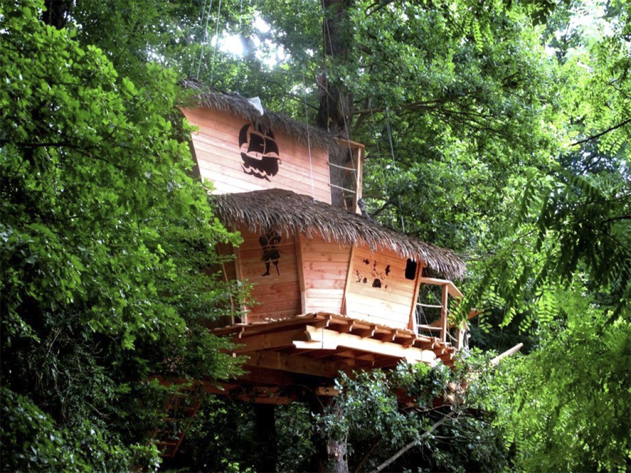 Sur un Arbre Perché - La Cabane des Moussaillons