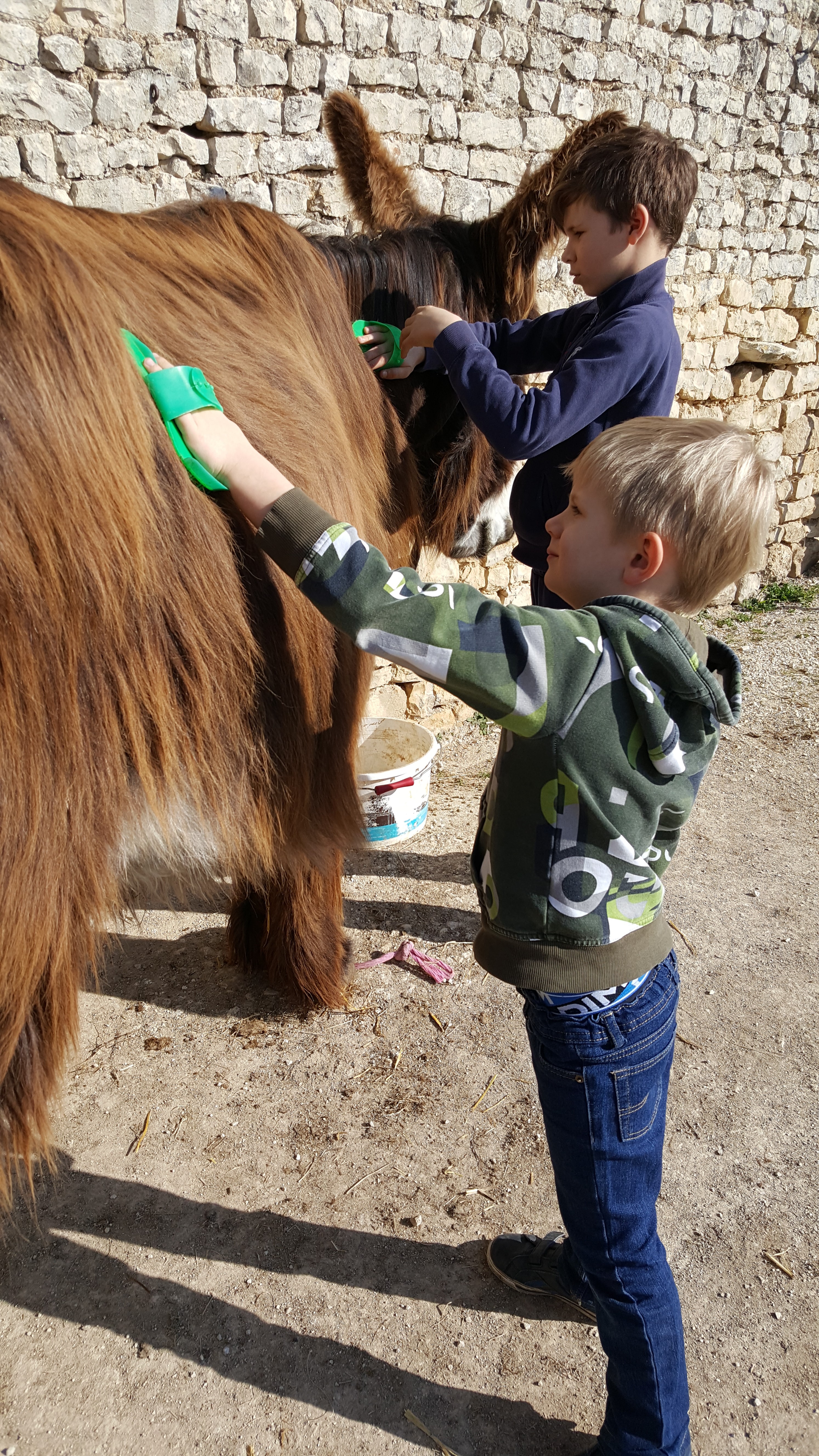 1h pour s'occuper des ânes