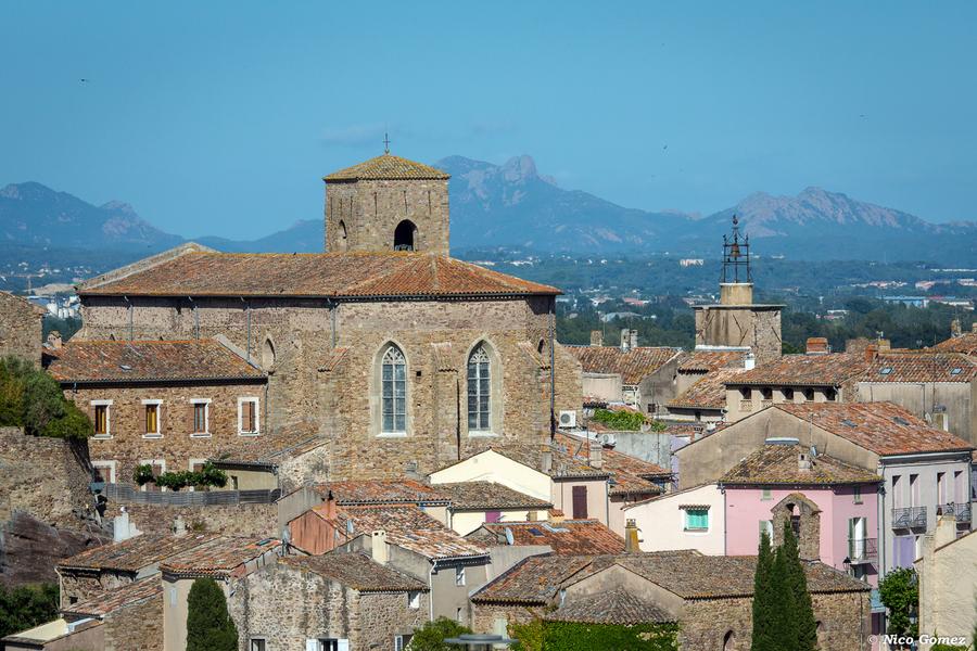 Le Castrum_Roquebrune-sur-Argens