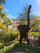 elephante verney