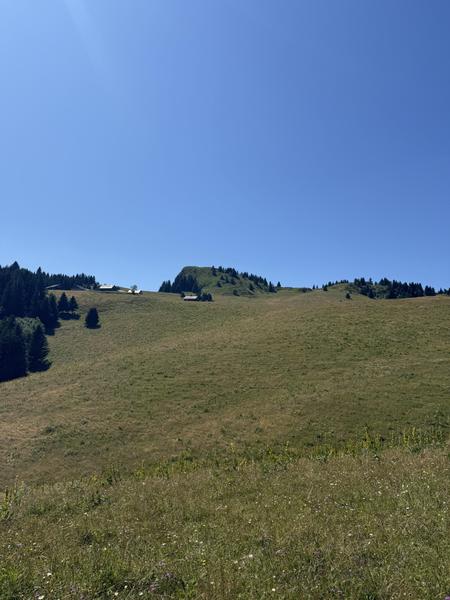 Randonnée au cœur des alpages de Vallon - Semaines du Géoparc_Bellevaux