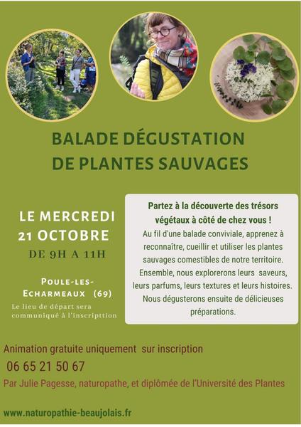 Balade dégustation et plantes sauvages