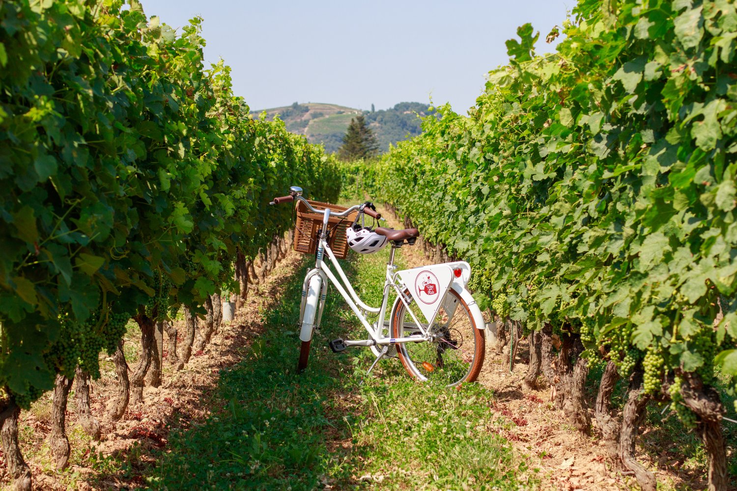 Pass producteurs avec Wine and Ride_Tain-l'Hermitage