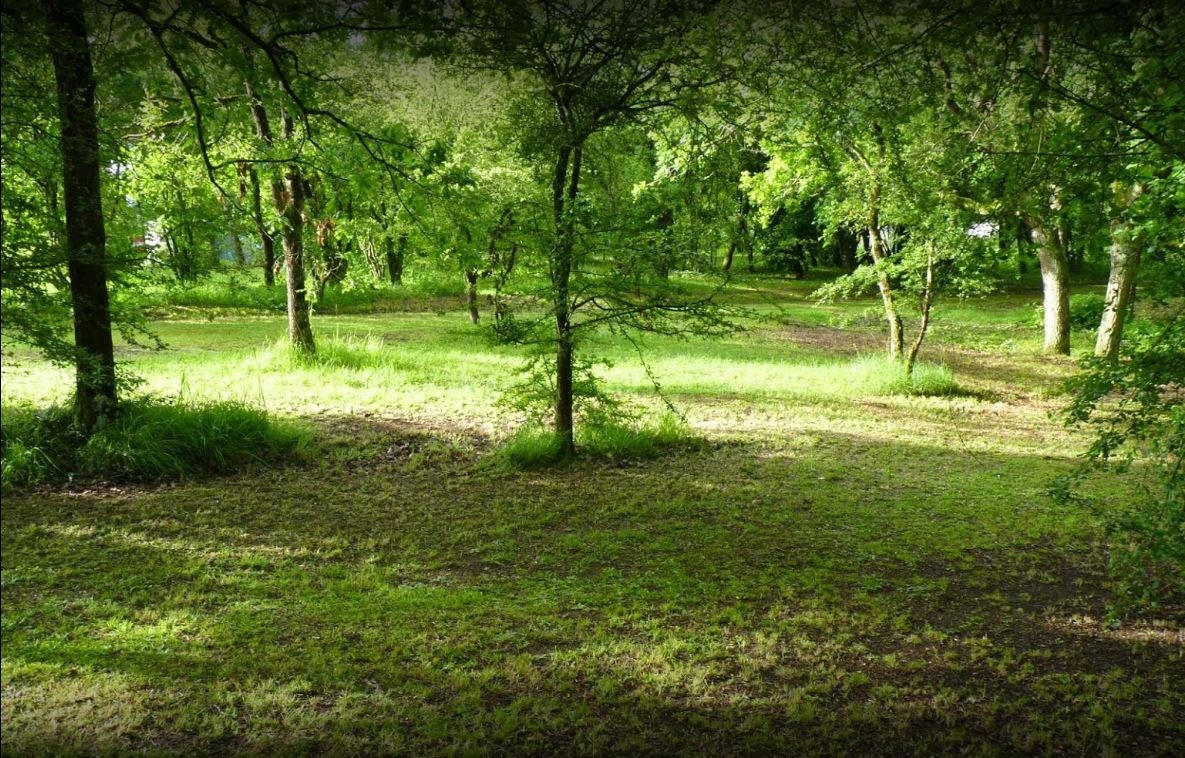 Camping Le Nid Vert