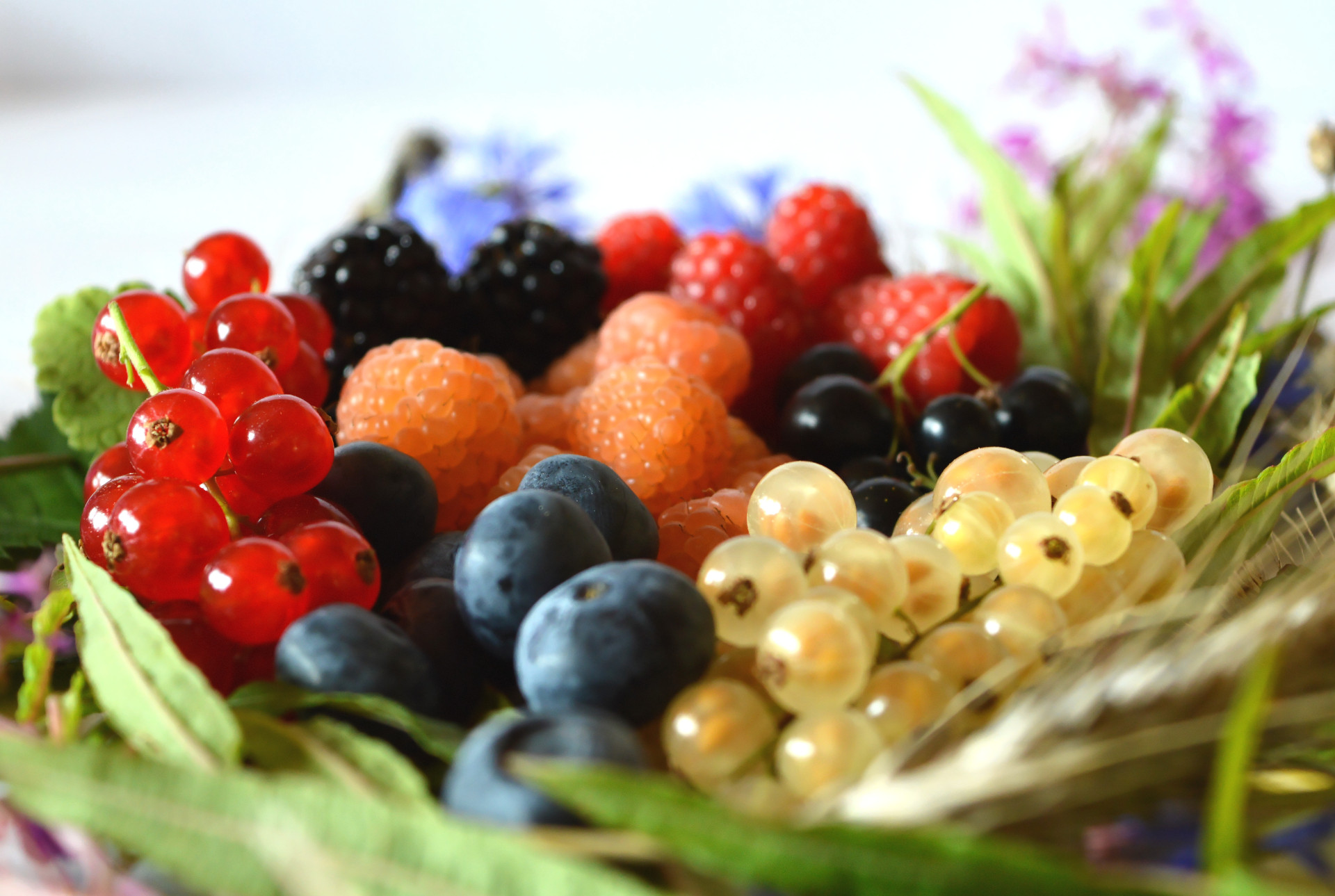 G.I.E. des producteurs de fruits rouges des Monts du Velay