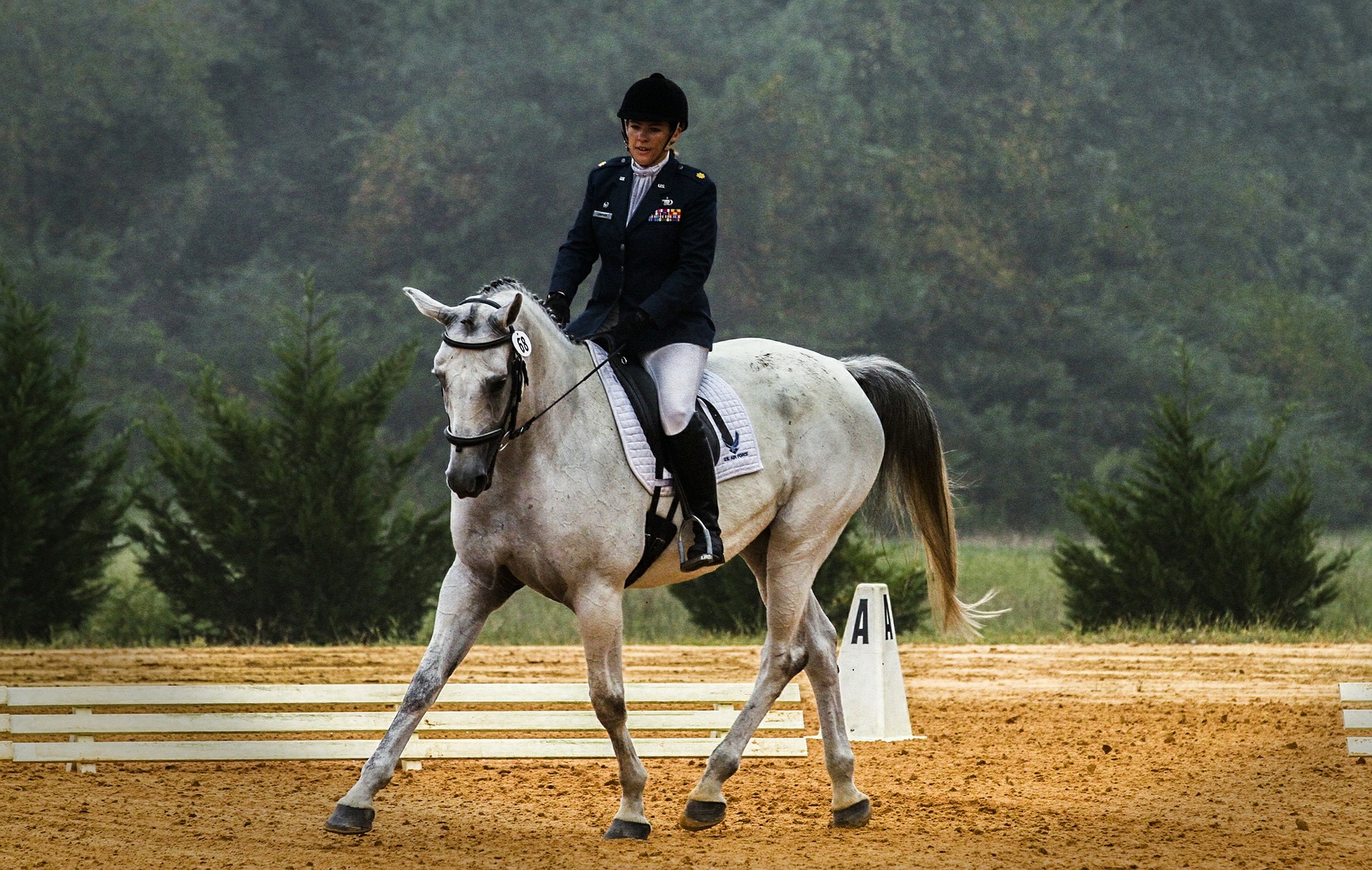 Horse Riding