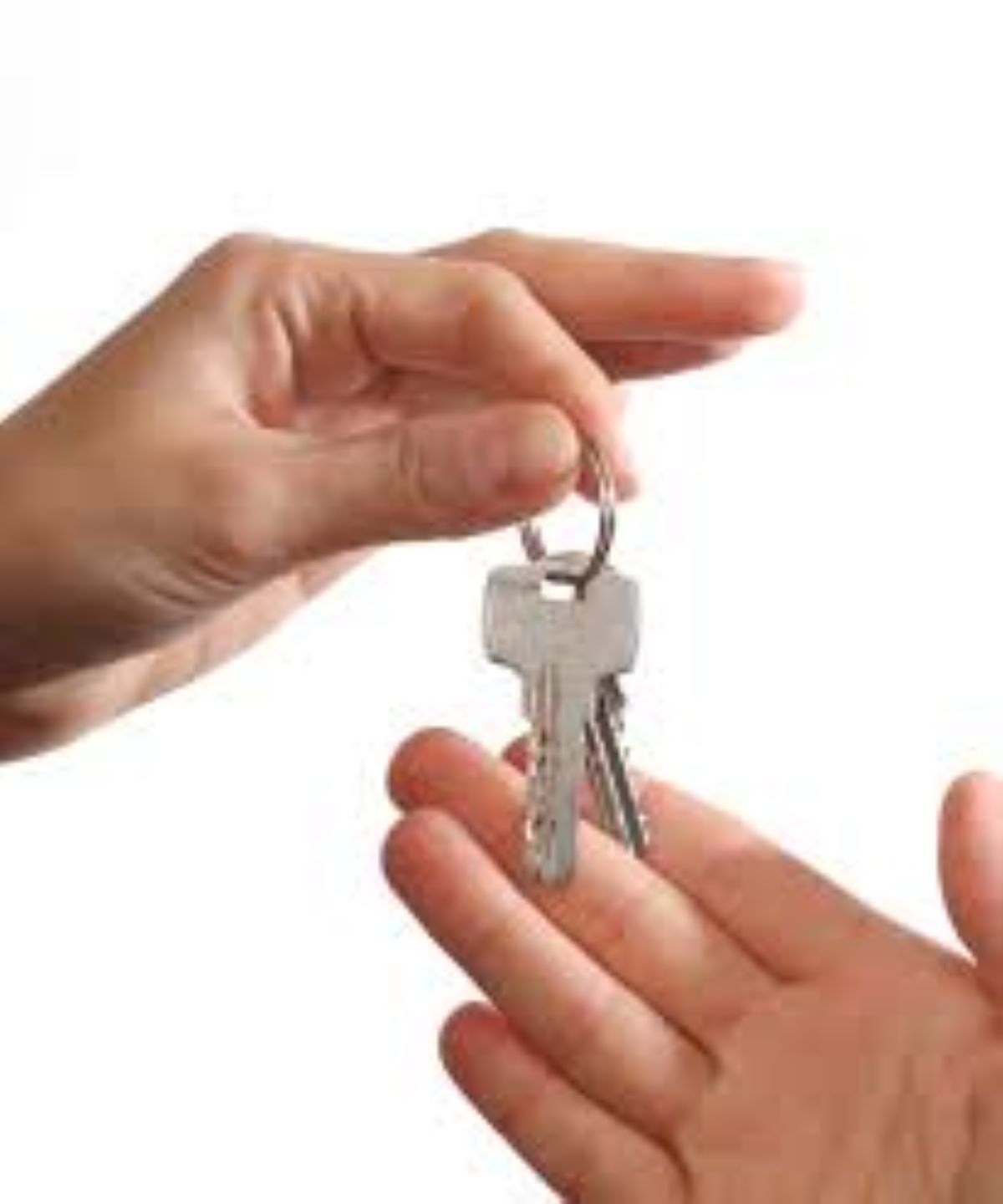 Conciergerie privée Edgar & Alfred