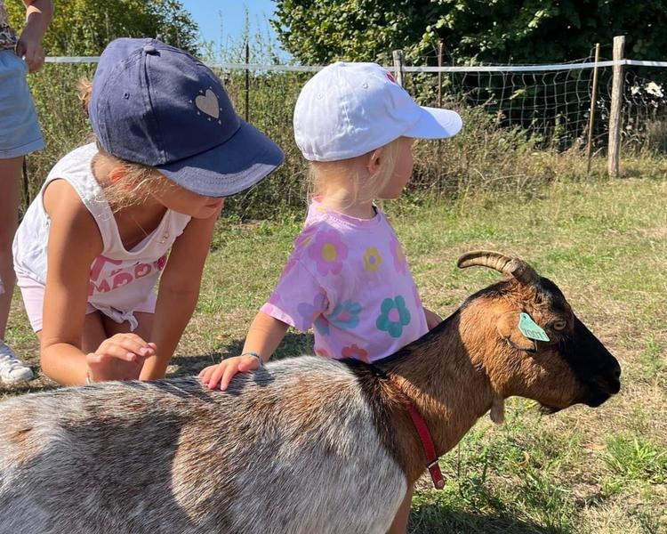 L'Arche de Julie : visites et ateliers de médiation par l'animal