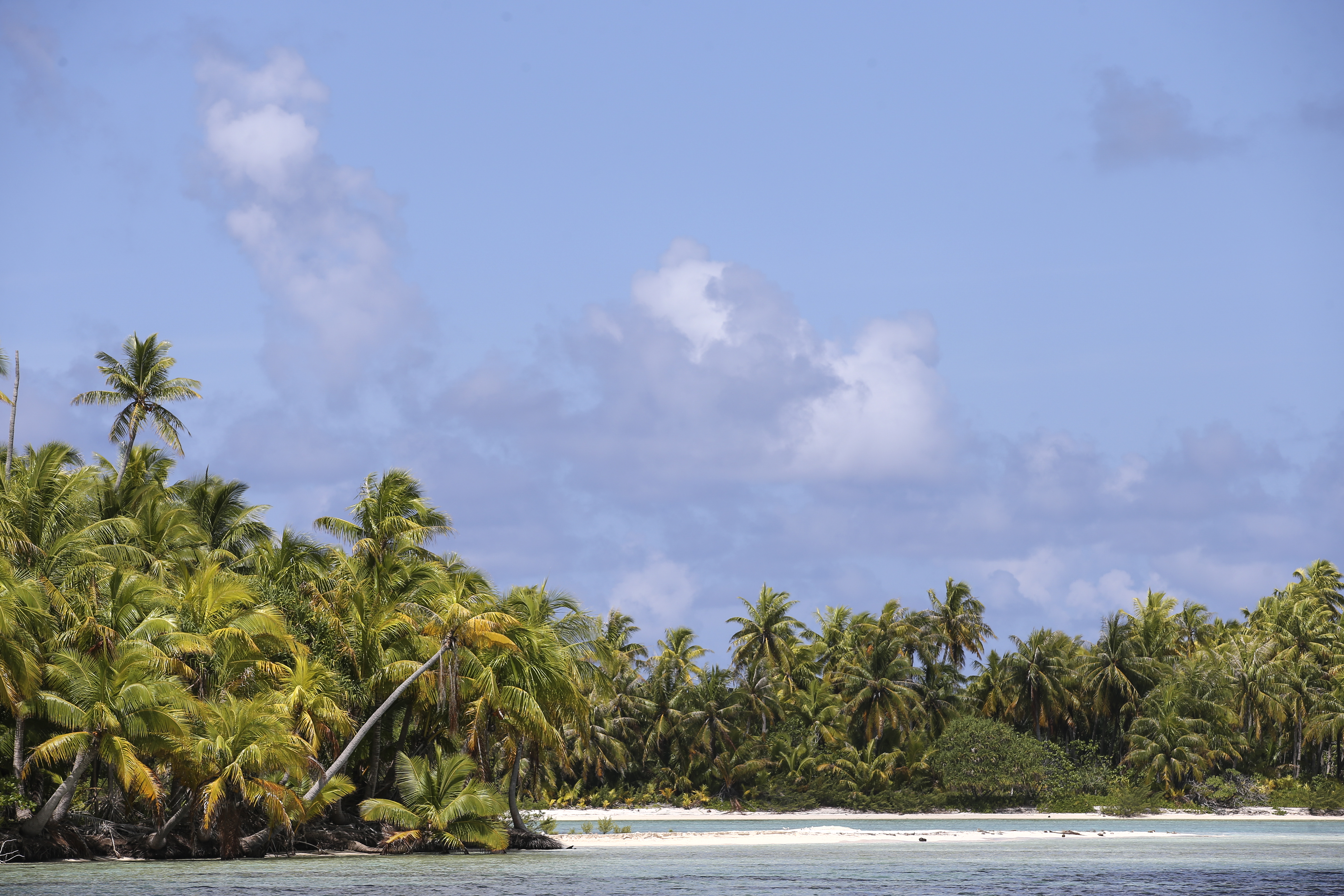 Le Lagon Bleu De Rangiroa