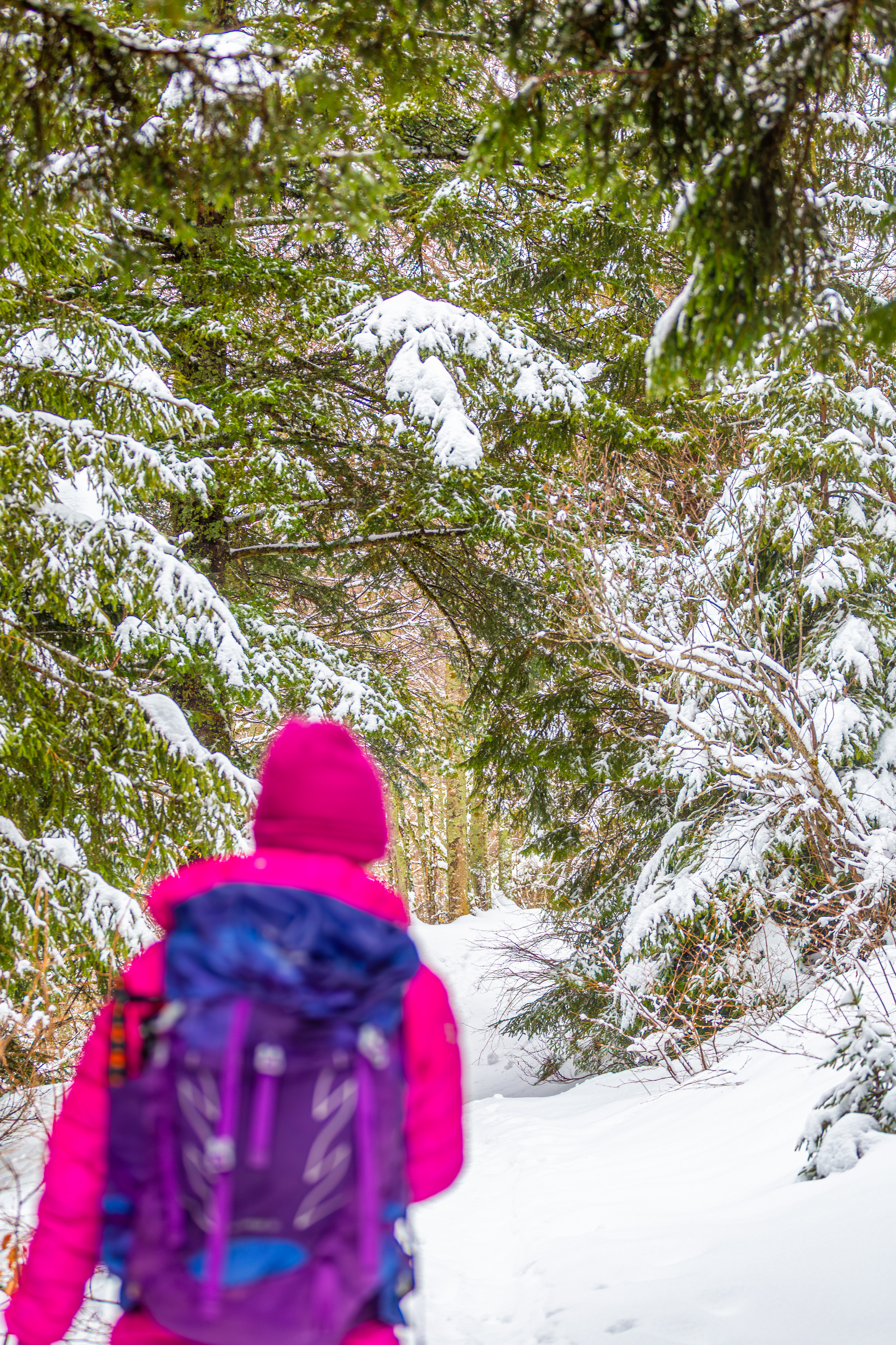 La Prairie de Machiret