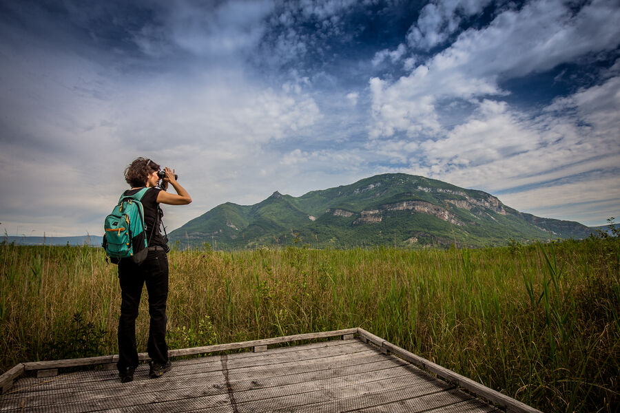 Sentier du Marais de Lavours