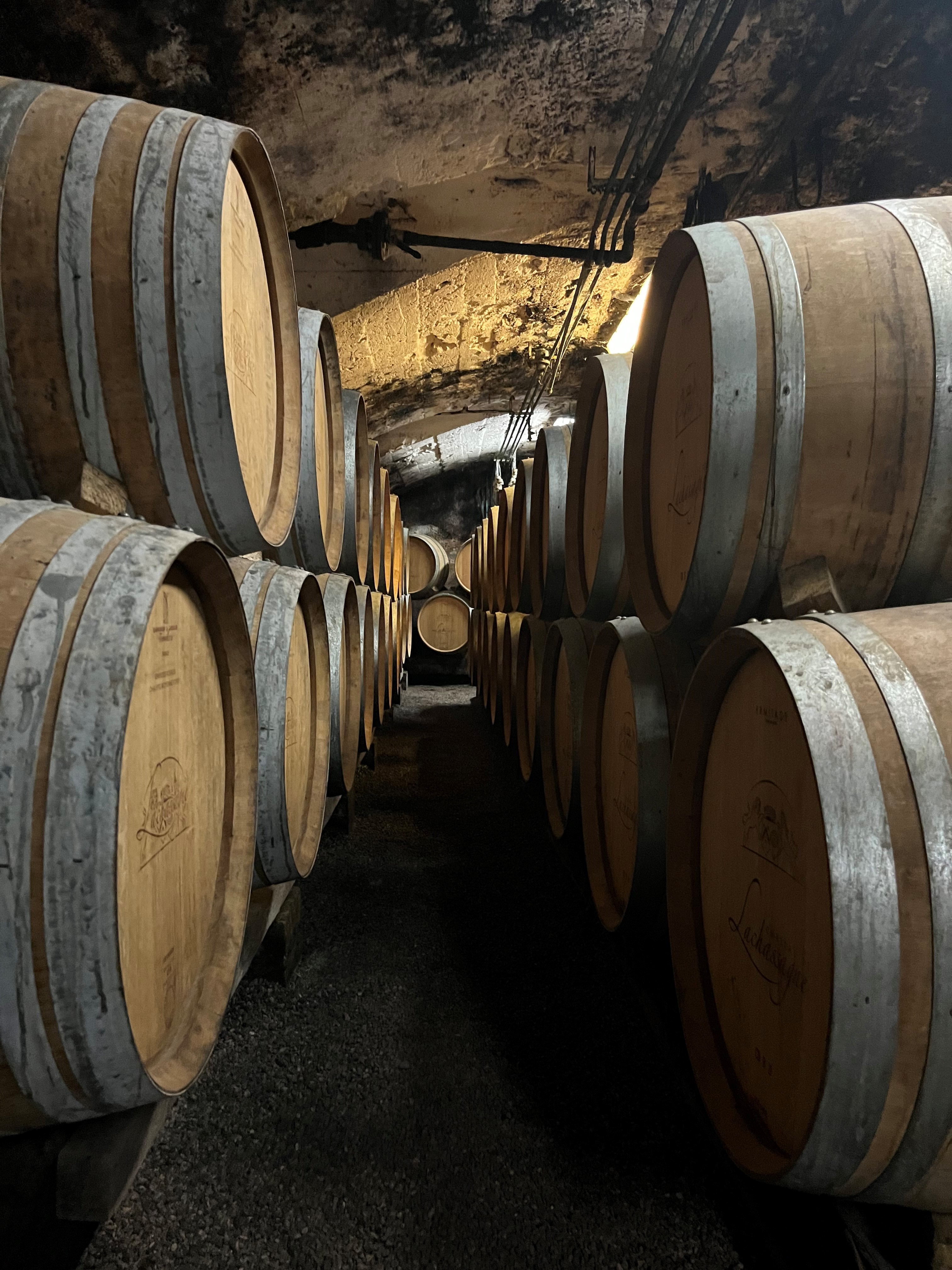 Visite sigature - Château de Lachassagne