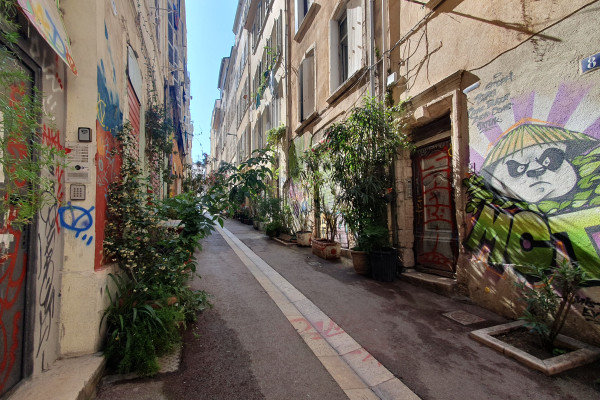 Balade buissonnière, la biodiversité en ville