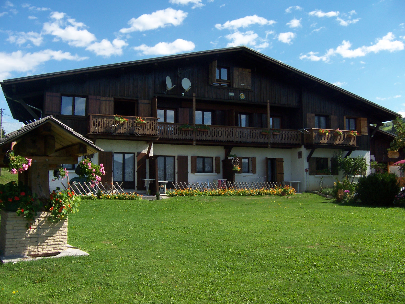 L'Abéru - Les Tournesols