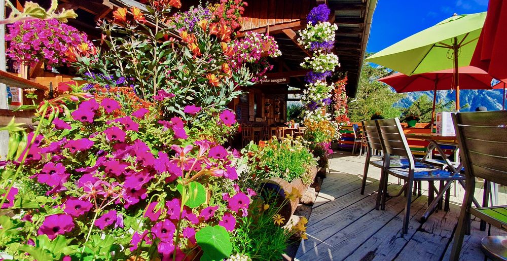 La terrasse du Chalet