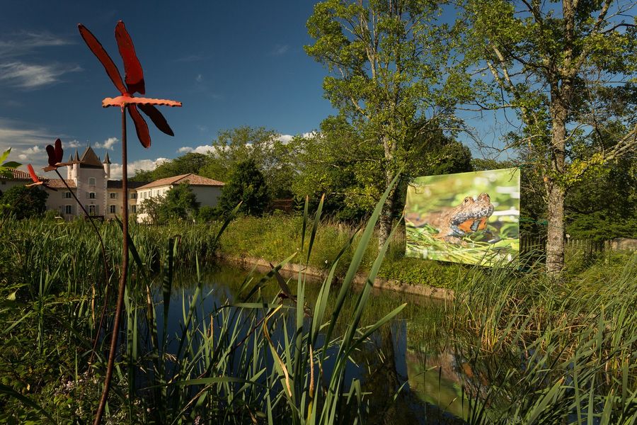 Jaujac - Exposition Biotrésors des Monts d'Ardèche à la Maison du Parc-2 ©S.BUGNON