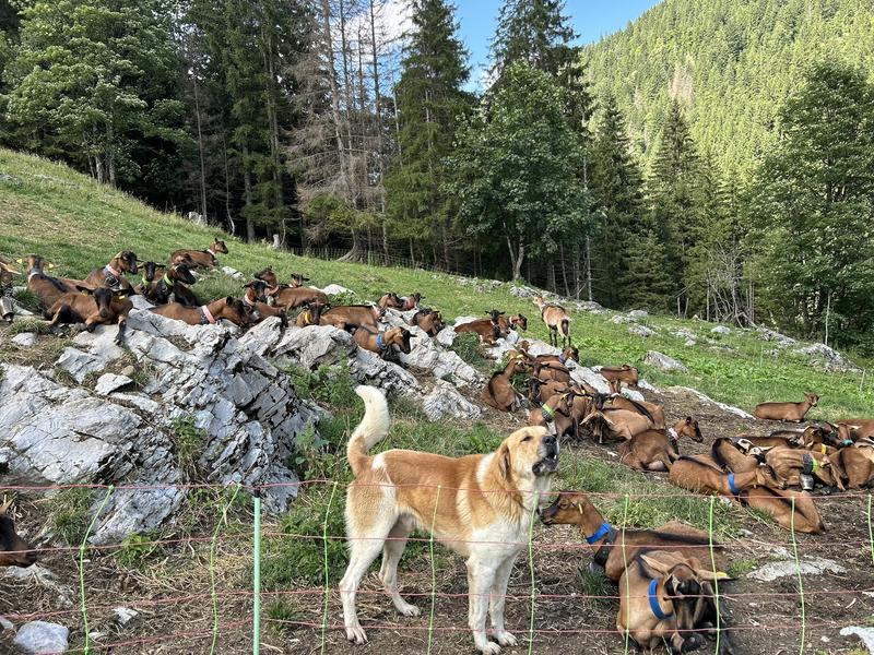 La ferme de Sommier d'Aval 
